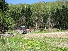 IMG_2384.JPG