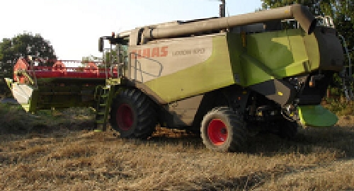 claas_33[1].jpg