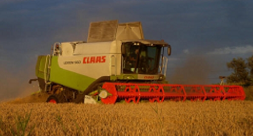 claas_81[1].jpg