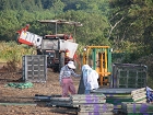 20100916-075108.jpg