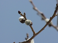 IMG_0851.jpg