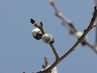 IMG_0851.jpg
