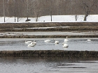 IMG_0830.jpg