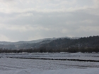 IMG_0865.jpg