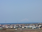 IMG_0994.jpg