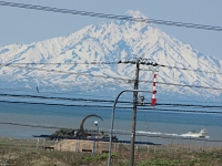 IMG_1244.jpg