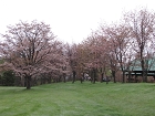 IMG_1412.jpg