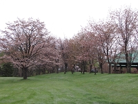 IMG_1412.jpg