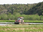 IMG_1560.jpg