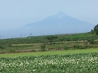 IMG_2541.jpg