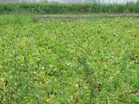 IMG_3177.jpg