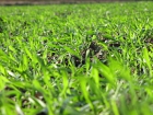 IMG_3568.jpg