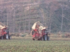 IMG_3767.jpg