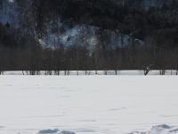 IMG_4534.JPG