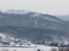 IMG_4717.jpg