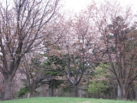 IMG_5286.jpg