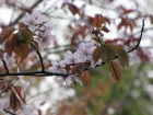 IMG_5459.jpg