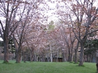 IMG_5460.jpg