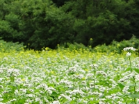 DSC00318.jpg