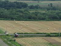 DSC00455.jpg