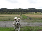 DSC00793.jpg