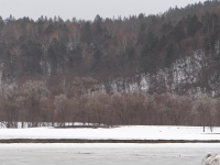 DSC01763.jpg
