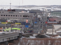 DSC01713.jpg