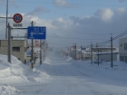 DSC01611.jpg