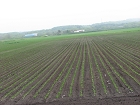 20100608-120414.JPG
