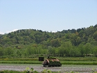 IMG_2561.JPG